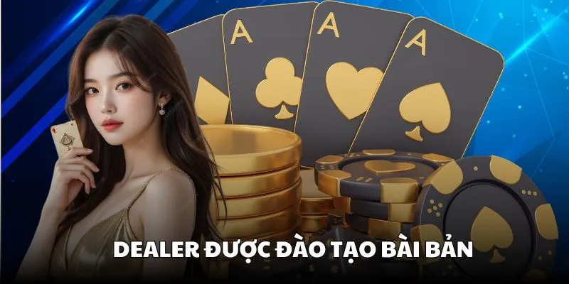 WM Casino | Sân chơi cực cháy nên trải nghiệm tại BK8 5 Các Dealer tại WM được huấn luyện một cách chuyên nghiệp